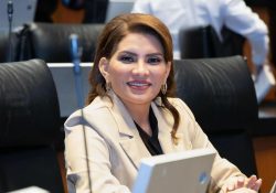Reforma electoral contará con el apoyo del pueblo: Lorenia Valles Sampedro