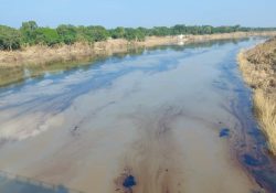 Grave derrame de hidrocarburos llega al río Pantepec en Veracruz; Pemex culpa a las lluvias y se atienden la emergencia ambiental