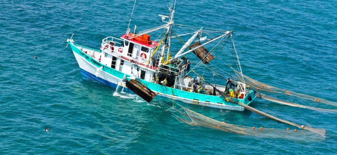 Expertos alertan riesgo creciente en el 50% de las pesquerías mexicanas