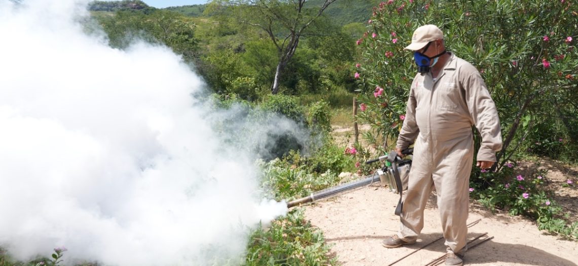 Sin víctimas fatales por dengue, confirma el Gobierno de Sonora