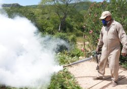 Sin víctimas fatales por dengue, confirma el Gobierno de Sonora