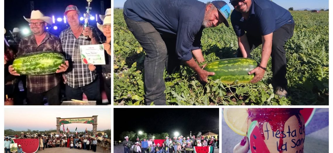 Pesó más de 20 kilos la sandía ganadora de concurso de productores del valle de Guaymas y Empalme