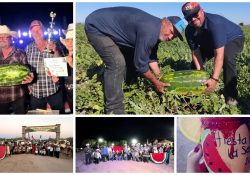 Pesó más de 20 kilos la sandía ganadora de concurso de productores del valle de Guaymas y Empalme