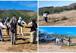 Localizan restos óseas en el valle de Empalme