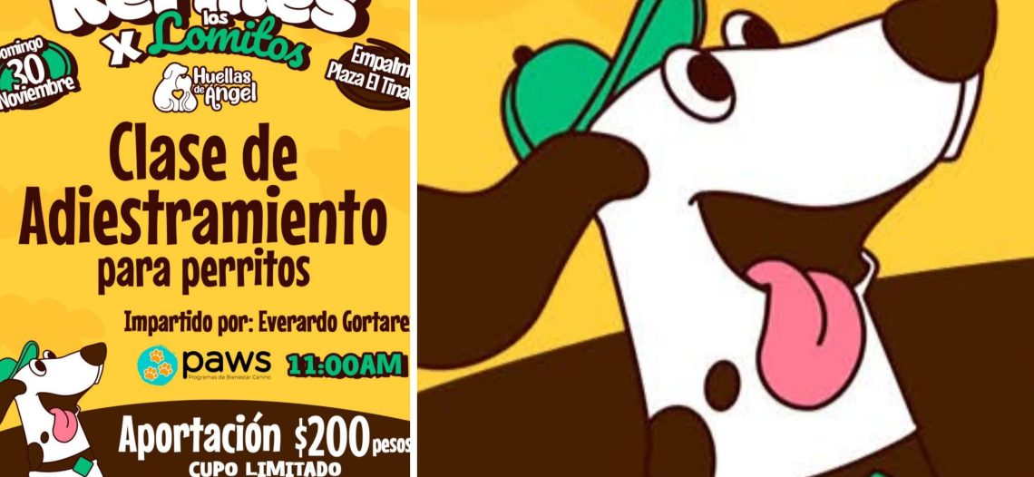 Darán clases de adiestramiento canino con causa en Empalme
