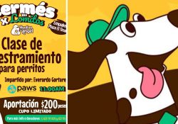 Darán clases de adiestramiento canino con causa en Empalme