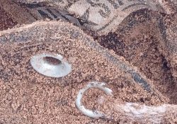 Localizan Buscadoras un cuerpo en San José de Guaymas