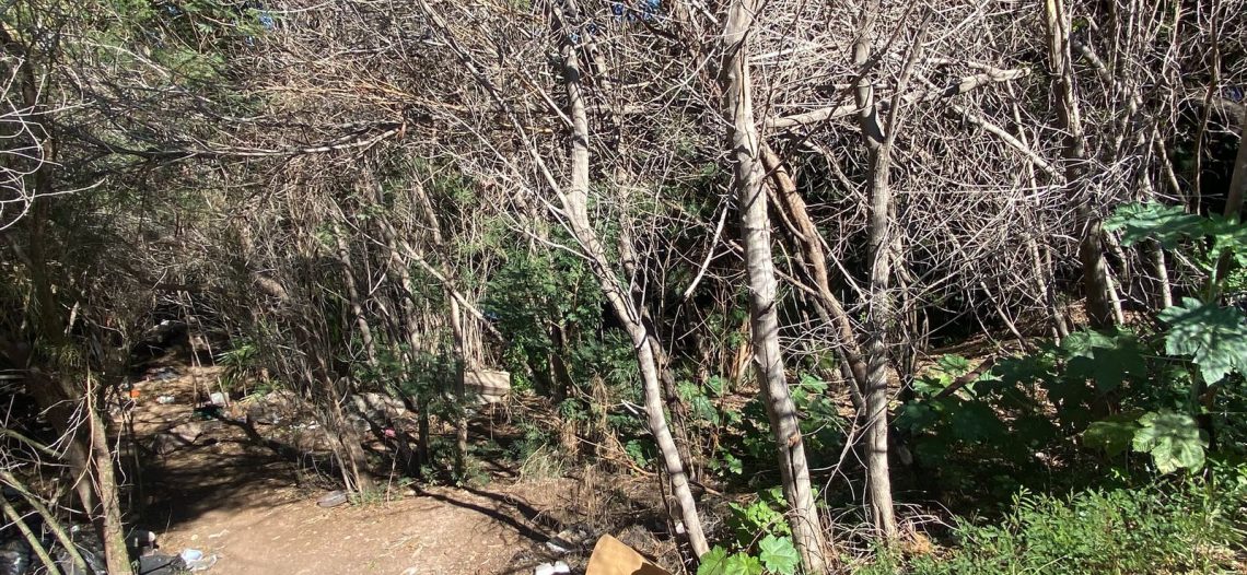 Antiguo parque infantil de Guaymas, un riesgo para la salud y la seguridad pública