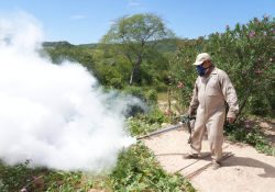 Insiste Secretaría de Salud de Sonora que no hay fallecimientos por dengue en el estado