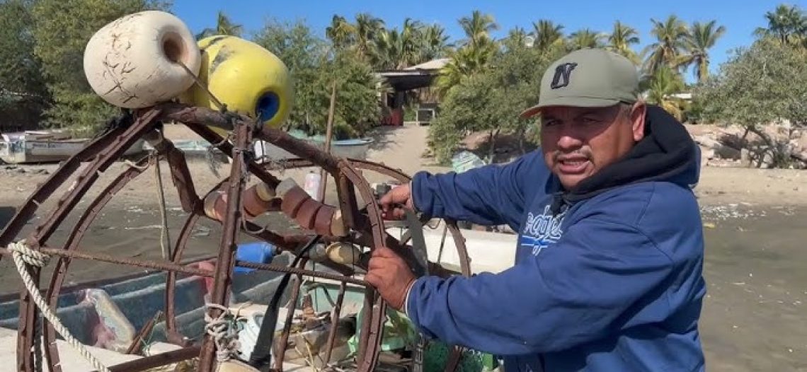 Pescadores de Yaváros exigen protección ante aumento de tiburones en la costa