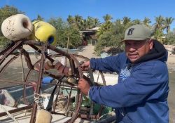 Pescadores de Yaváros exigen protección ante aumento de tiburones en la costa