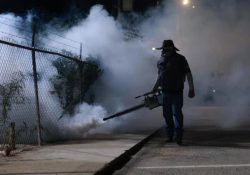 Salud Sonora fumiga 154 mil hectáreas contra el dengue en 283 localidades