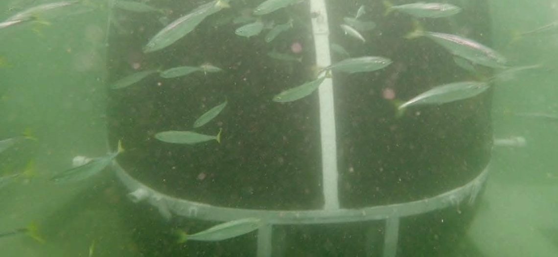 San Carlos tiene ya el primer museo submarino naval de México