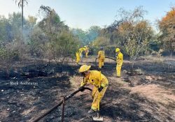 Atendieron Bomberos de Guaymas 148 servicios en noviembre