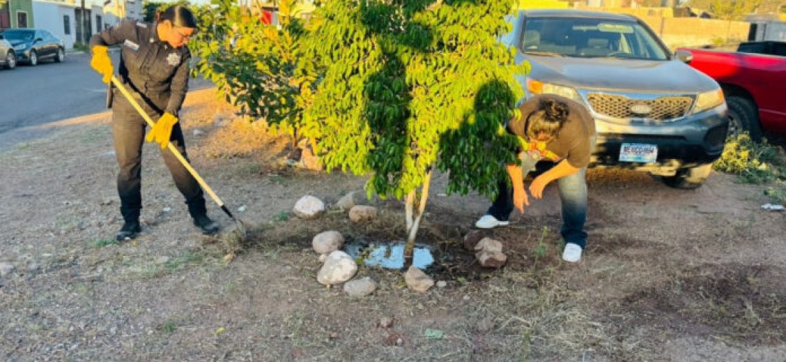 Familias de Guaymas se organizan con SSPC Sonora para generar entornos seguros