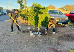 Familias de Guaymas se organizan con SSPC Sonora para generar entornos seguros
