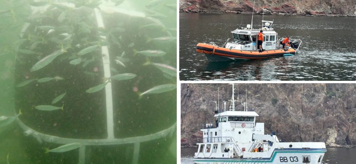 Continuará el depósito de unidades de la Armada para el Museo submarino