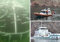 Continuará el depósito de unidades de la Armada para el Museo submarino