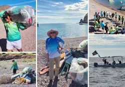Realizan jornada de limpieza en playa Ensenada grande