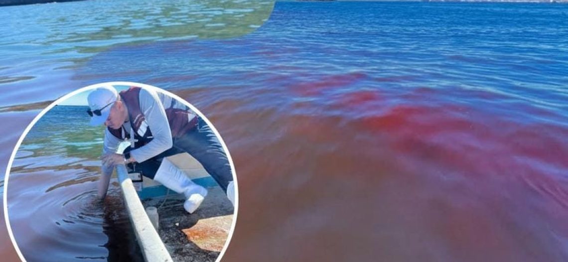 Realizan muestreo por marea roja en Guaymas