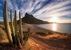 Prevé un cierre de año positivo para el turismo en Sonora