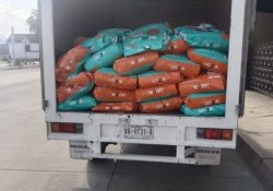 Recibe «Huellas de Ángel» una tonelada de alimento para perr