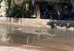 Aguas negras vuelven a afectar a vecinos de la colonia San Vicente en Guaymas