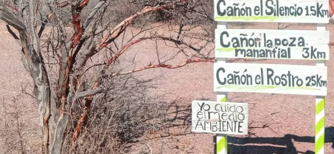 Monitorean fauna silvestre en cañones de San Carlos