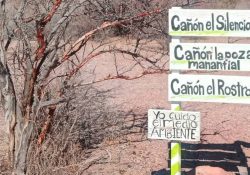Monitorean fauna silvestre en cañones de San Carlos