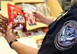 CBP publica lista actualizada de frutas, verduras y carnes permitidas para ingresar a Estados Unidos