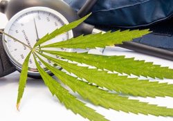 Crece consumo de marihuana entre adolescentes en Guaymas