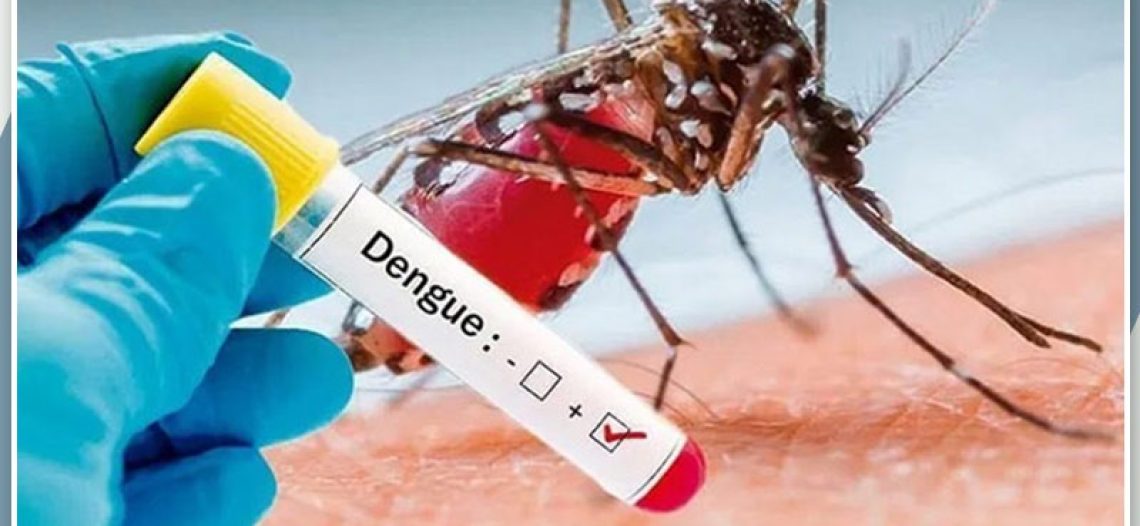 Inicia enero con 43 casos de dengue en Sonora