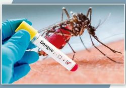 Inicia enero con 43 casos de dengue en Sonora