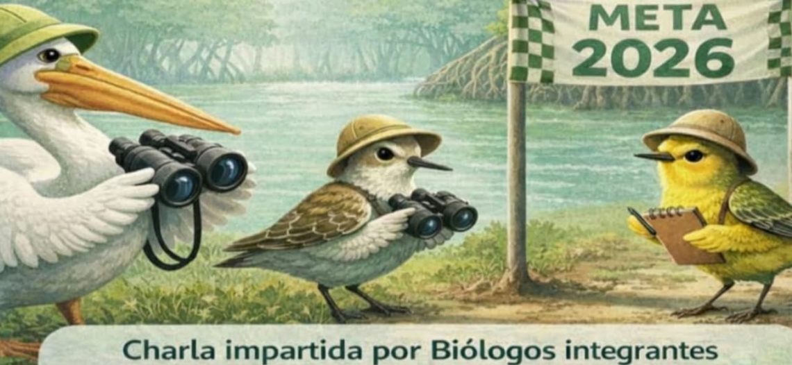Invitan a recorrido de observación de aves migratorias en Rio Escondido