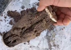 Denuncian vecinos de Las Villas presencia de arena en el suministro de agua potable en Guaymas