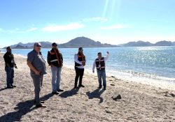 Realizan muestreos en playas de Guaymas y San Carlos