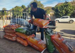 Donación de croquetas apoya a rescatistas de animales en Guaymas