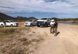 Reactivan Proyecto Náutico Bacochibampo