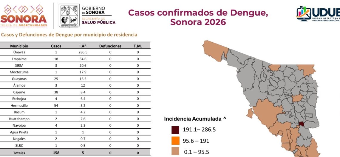 Guaymas suma 25 casos de dengue en 2026 y autoridades llaman a reforzar prevención