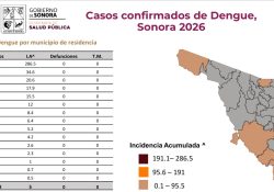 Guaymas suma 25 casos de dengue en 2026 y autoridades llaman a reforzar prevención