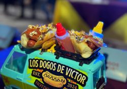 Realizan ‘Dogotón’ en Empalme