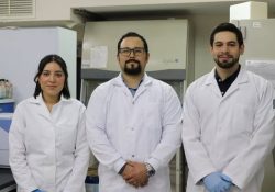 Investigan en Sonora posible medicina contra el cáncer a partir de veneno de víboras