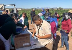 Refuerzan prevención de sarampión en campos agrícolas del Valle de Guaymas y Empalme