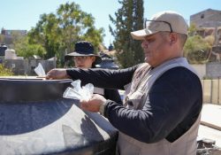 Sonora reporta descenso en casos de dengue en 2026