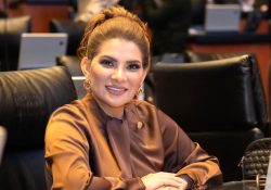 El Senado es clave para el segundo piso de la 4T: Lorenia Valles Sampedro