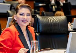 Senado analizará reforma electoral para una democracia más austera: Lorenia Valles