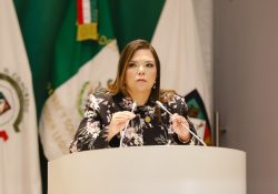 Precisarán pasos para nombrar nuevas autoridades en caso de fallecimiento