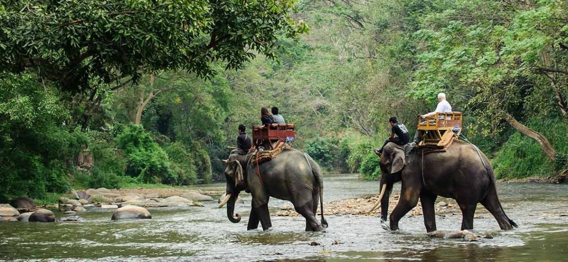 Indonesia prohíbe los paseos en elefante y marca un precedente en Asia