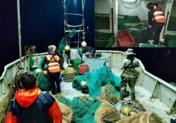Aseguran barco camaronero con 800 kilos de camarón en operativo frente a Puerto Peñasco