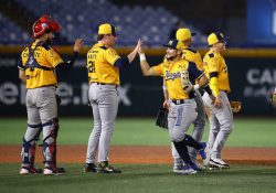 Volverían Mayos a Navojoa en la próxima temporada de beisbol